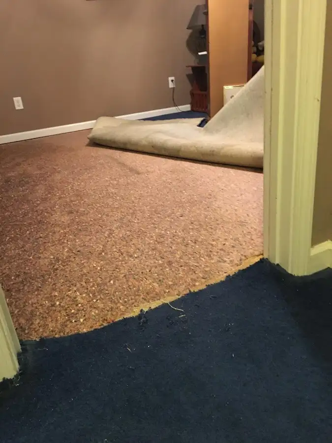 Carpet pad removal revealing water damage during Drying & Dehumidification in Pelican Bay